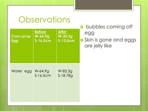 Egg osmosis experiment | PPT