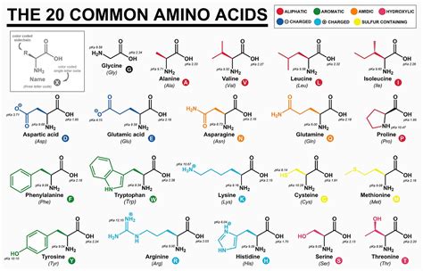 Que Es Amino Como Salirte De Una Comunidad En Amino 