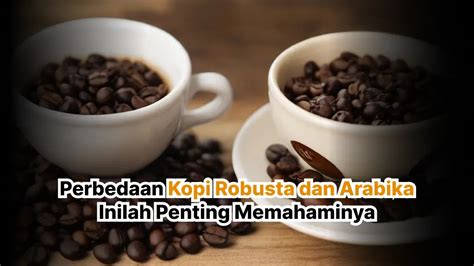 Perbedaan Kopi Robusta Dan Arabika Mengapa Penting Memahaminya Freshcaff