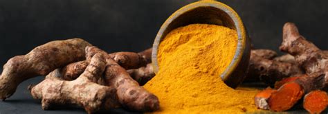 Your Guide To Turmeric During Pregnancy Healthy Pregnancy