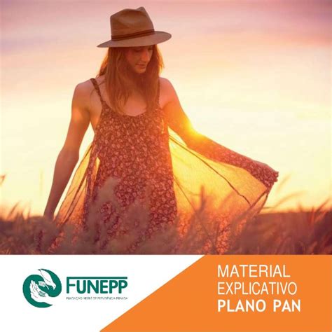 Pdf Material Explicativo Plano Pan Funepp O Que Um Plano De