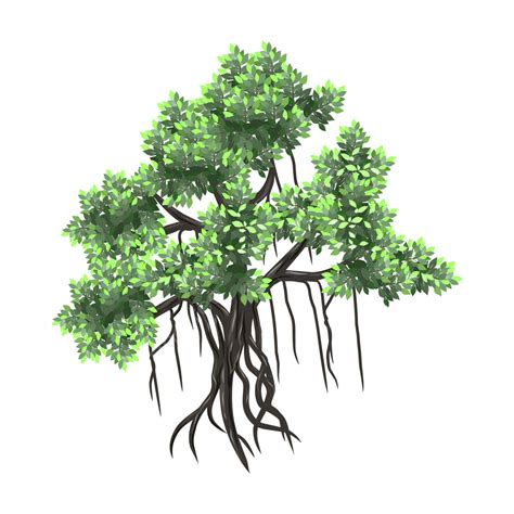 Banyan Tree Vector Hand Drawing Banyan Tree Root Png And Vector With