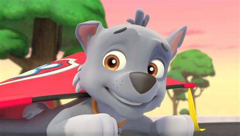 Paw Patrol Helfer Auf Vier Pfoten Tv Programm Nick Jr