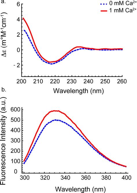 A The Cd Spectra Of Both The Apo Blue Dashed Line And Holo Red Download Scientific Diagram