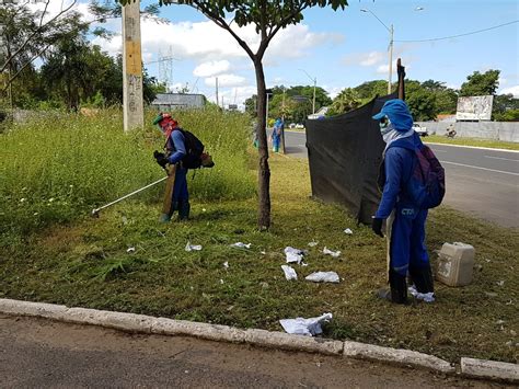 Metade Do Lixo Recolhido Na Zona Sul Foi Descartado Em Terrenos Baldios