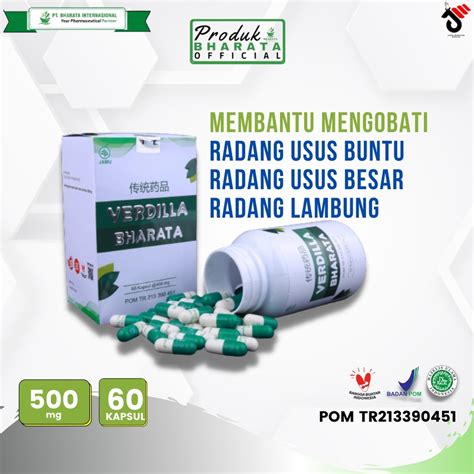 Jual Obat Radang Usus Besar Radangusus Buntu Radang Lambung Verdilla