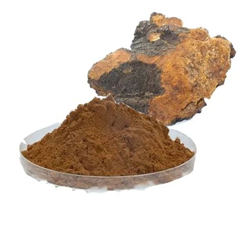 Chaga Mushroom Extract Polysaccharide Chaga Powder Organic Changsha