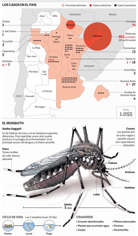 Confederación Farmacéutica Argentina Avanza el virus del dengue y ya