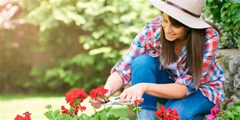 Novedades 2024 Cómo Guardar Correctamente una Manguera de Jardín