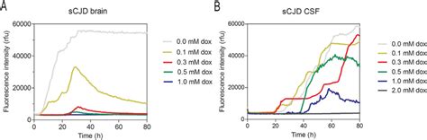 Impact Of Doxycycline On The RT QuIC Seeding Response Of SCJD Brain And