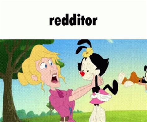 Reddit Animaniacs Reddit Animaniacs Redditor Discover Share GIFs