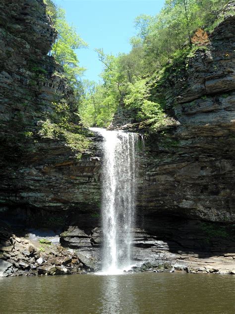 Image: Cedar Falls Trail, Petit Jean State Park 010