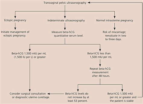 Diagnosis And Management Of Ectopic Pregnancy Aafp The Best Porn Website