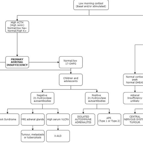 Diagnostic Algorithm For Adrenal Insufficiency Download Scientific