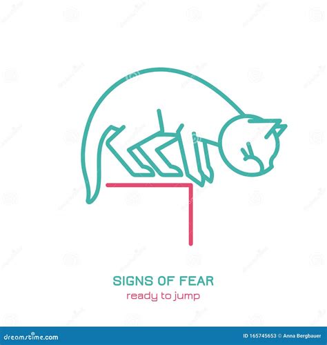 Cat Fearful Behavior Signals Cartoon Vector | CartoonDealer.com #166192289