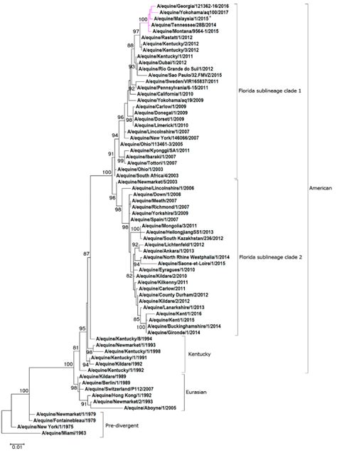 Maximum Likelihood Tree Of Ha1 Nucleotide Sequences A Phylogenetic