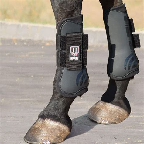 The 8 Best Tendon Boots For Horses Equestrian Boots And Bridles