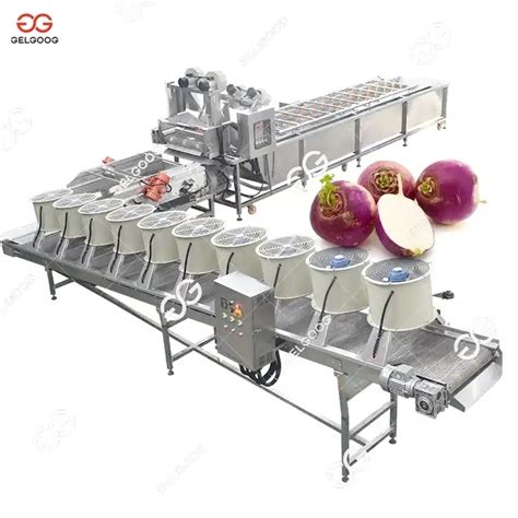 Gelgoog High Air Bubble Fruit Cleaning Efficiency Vegetable Washing And