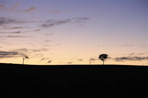 Free Images Landscape Sea Tree Nature Outdoor Sand Horizon