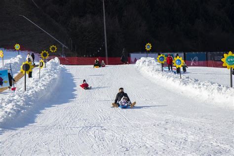 Kkday Exclusive Korea Elysian Ski Resort Snowhill Park Sledding Fun