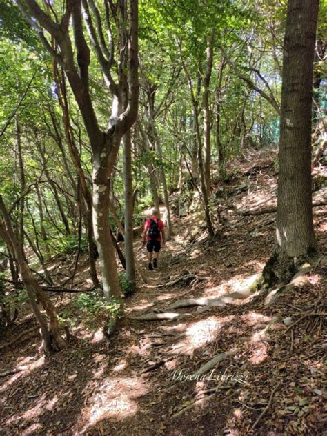 La Scala Nel Cielo Al Parco Regionale Del Campo Dei Fiori Tra Roccia