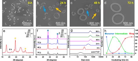 Sem Images Of Polymer Nanorings Prepared With An Incubating Time Of A