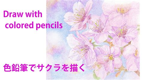 【色鉛筆画】how To Draw春色でサクラを描く。draw With Colored Pencils Youtube