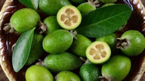 Feijoa cos è e come si mangia Torrinomedica