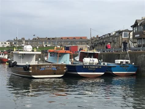 boats  seahouses harbour jonathan hutchins geograph britain
