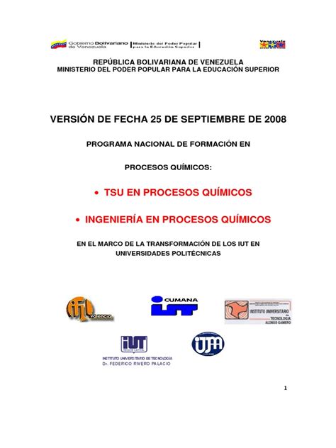 Pdf Documento Rector Del Pnf Dokumen Tips