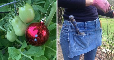 20 Best Gardening Hacks For A Spectacular Harvest Diy And Crafts