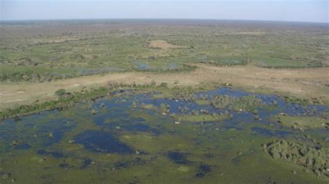 A Bird’s Eye View of the Okavango Delta