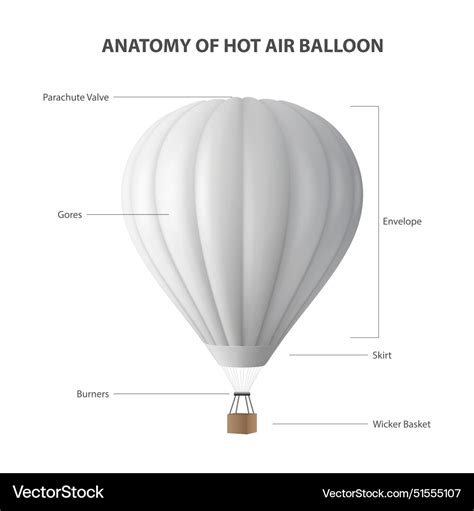 Anatomy Of Hot Air Balloon Isolated On White Vector Image