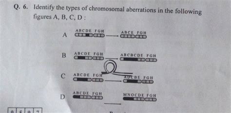 Q 6 Identify The Types Of Chromosomal Aberrations In The Following Figu