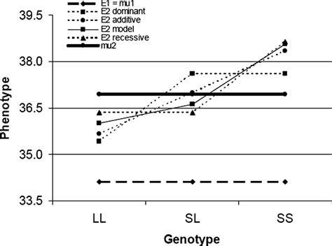 Gene Environment Interactions At The Serotonin Transporter Locus