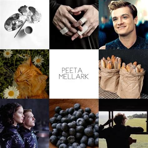 Peeta Mellark Aesthetic [video] Hunger Games Wallpaper Hunger Games Peeta Hunger Games Problems