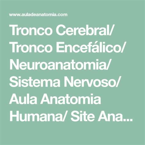 Sistema Nervoso Neuroanatomia Aula Anatomia Humana Site Anatomia Porn