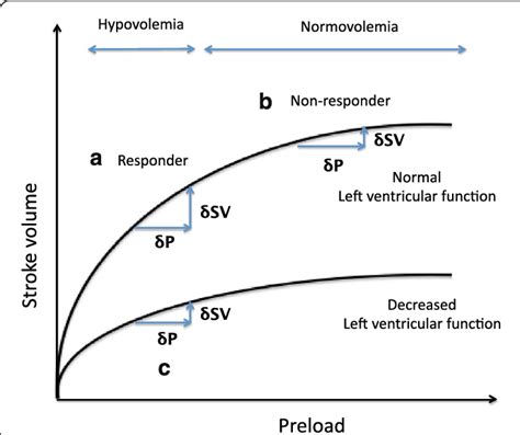 Starling Curve And Left Ventricular Function The Relationship Between Download Scientific