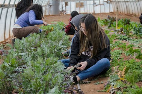 Givinghisday Summer Experience — Holbrook Indian School