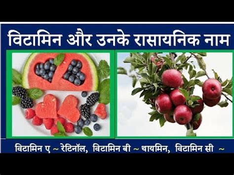 Vitamin Aur Unke Rasayanik Naam Trick To Learn Vitamins Chemical Name