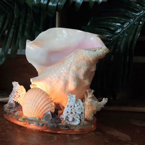 Conch Shell Lamp Etsy