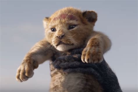 The Lion King Teaser Trailer Gets 224 6 Million Views In One Day