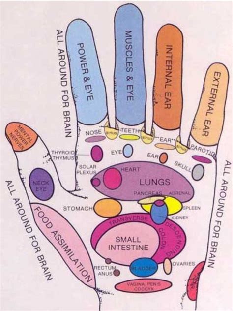 Pin By Carolina Martell On Conoce Hand Reflexology Reflexology Chart Reflexology