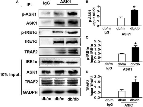 Frontiers The Reciprocal Causation Of The Ask1 Jnk12 Pathway And Endoplasmic Reticulum Stress