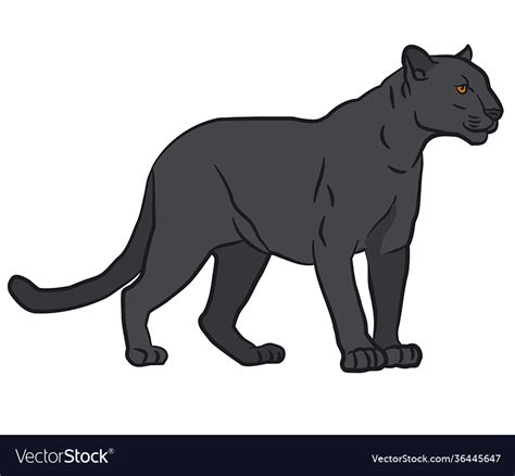 Black panther Royalty Free Vector Image - VectorStock