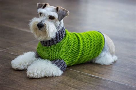 Ropa Para Perro Tejida A Crochet Ideas Y Dise Os