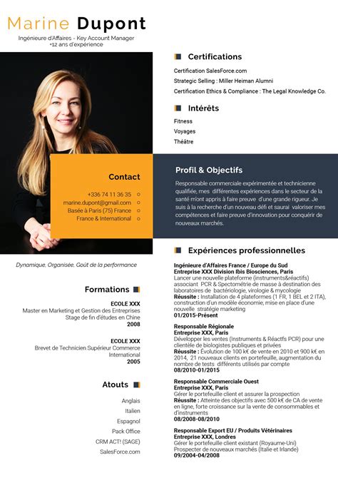 Recherche Cv Professionnel Cv Original Mycvfactory