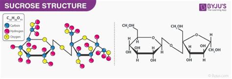 Sucrose (C12H22O11) - Structure, Properties, Uses, and FAQs