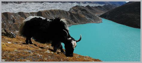 Gokyo Valley Trek Days Sawasdee Nepal Treks And Tours Pvt Ltd