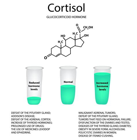 Too High Cortisol Level And How To Deal With It